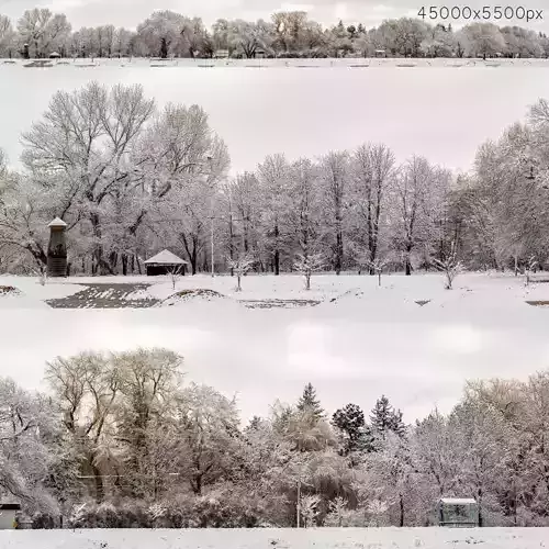 Panorama of the park and snow-covered trees - 45k 3D model