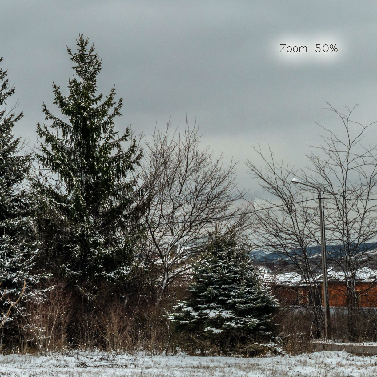 Panorama with snow-covered trees and a field - 30k 3D model_6