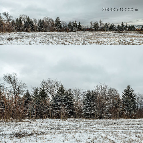 Panorama with snow-covered trees and a field - 30k 3D model