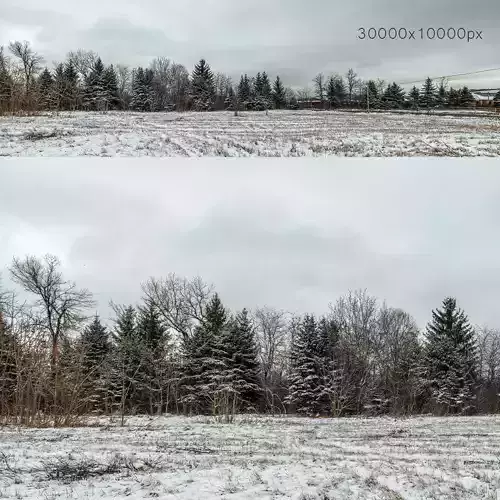 Panorama with snow-covered trees and a field - 30k 3D model