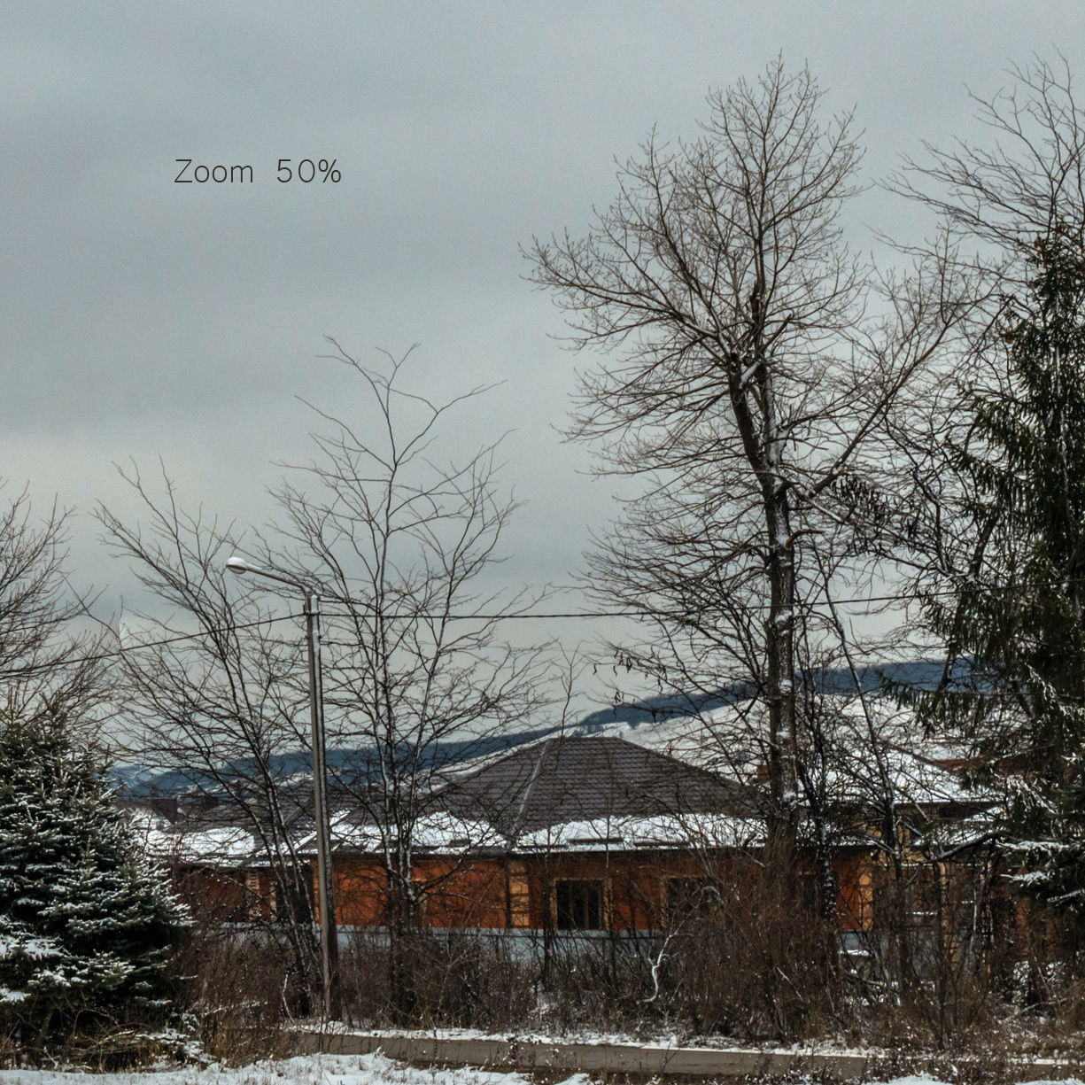 Panorama with snow-covered trees and a field - 30k 3D model_3