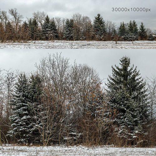 Panorama with snow-covered trees and a field v2 - 30k 3D model