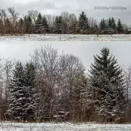 Panorama with snow-covered trees and a field v2 - 30k 3D model
