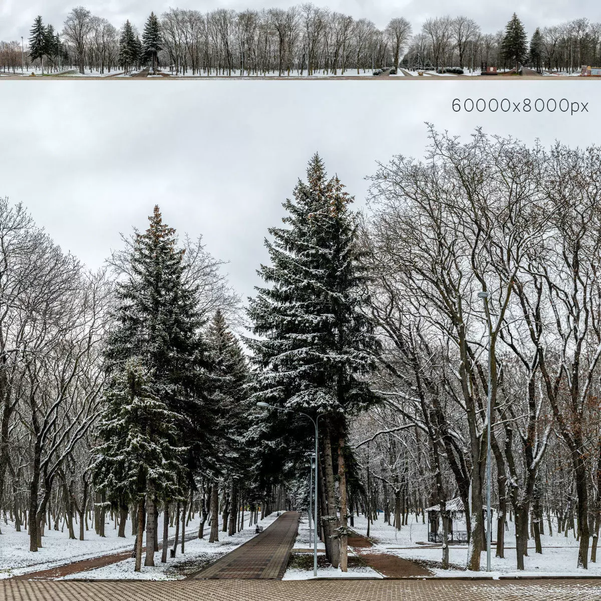 Winter panorama of the park with snow-covered trees - 60k 3D model_0