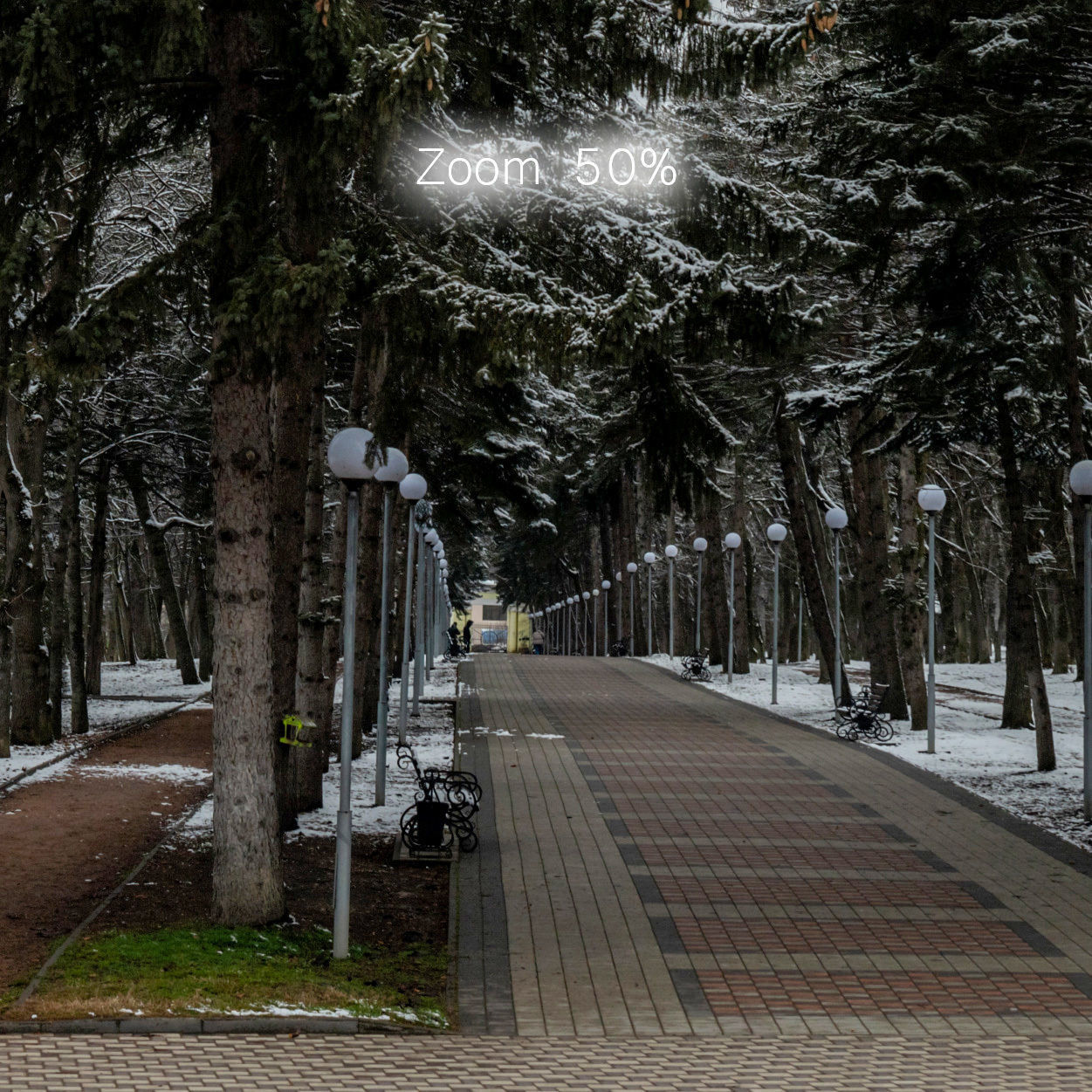 Winter panorama of the park with snow-covered trees - 60k 3D model_9