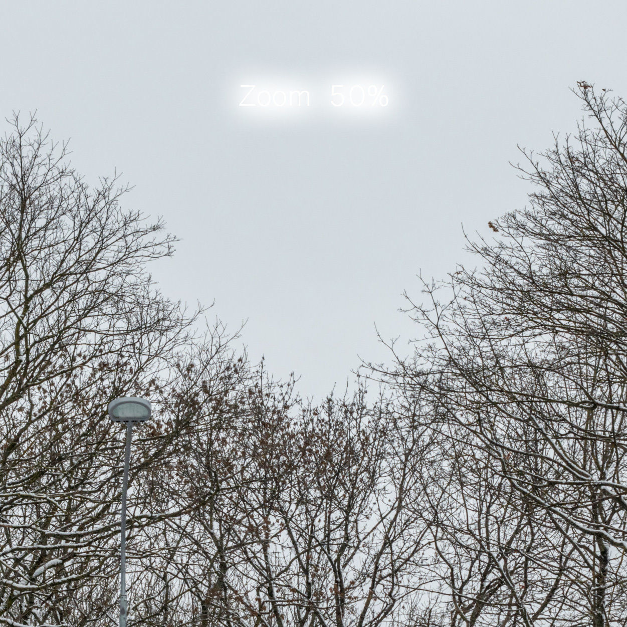Winter panorama of the park with snow-covered trees - 60k 3D model_7