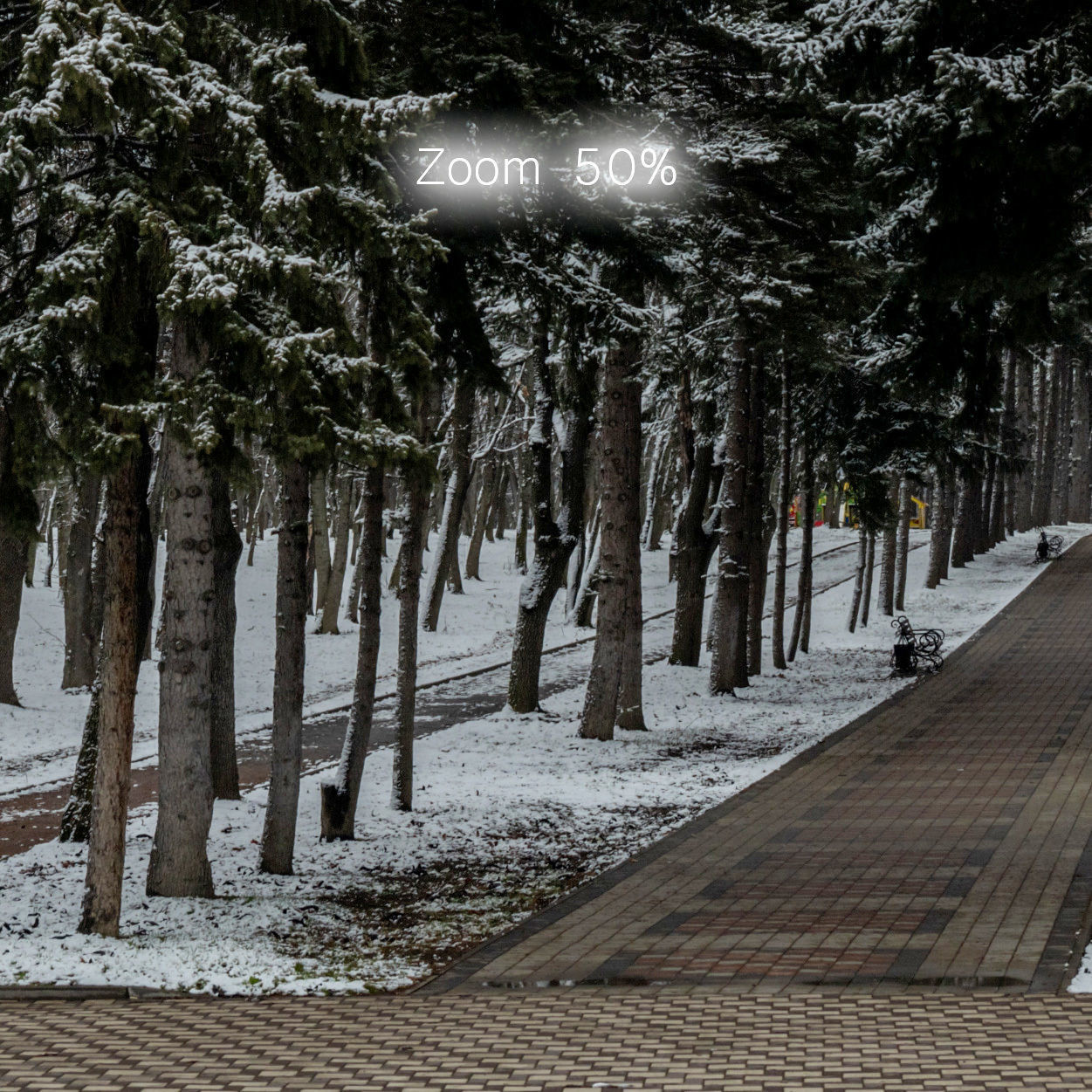 Winter panorama of the park with snow-covered trees - 60k 3D model_4