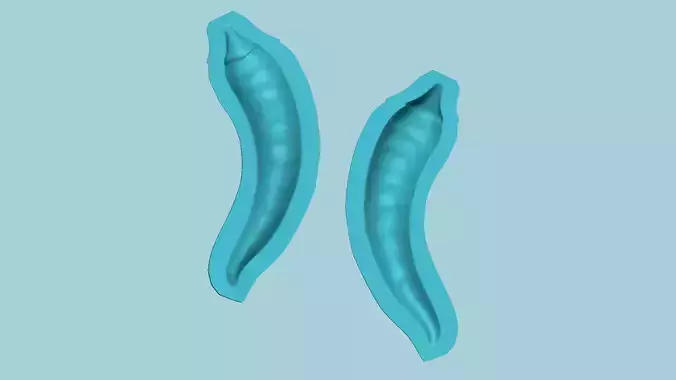 Chilli Pepper - Molding Arrangement EVA Foam Craft 3D print model