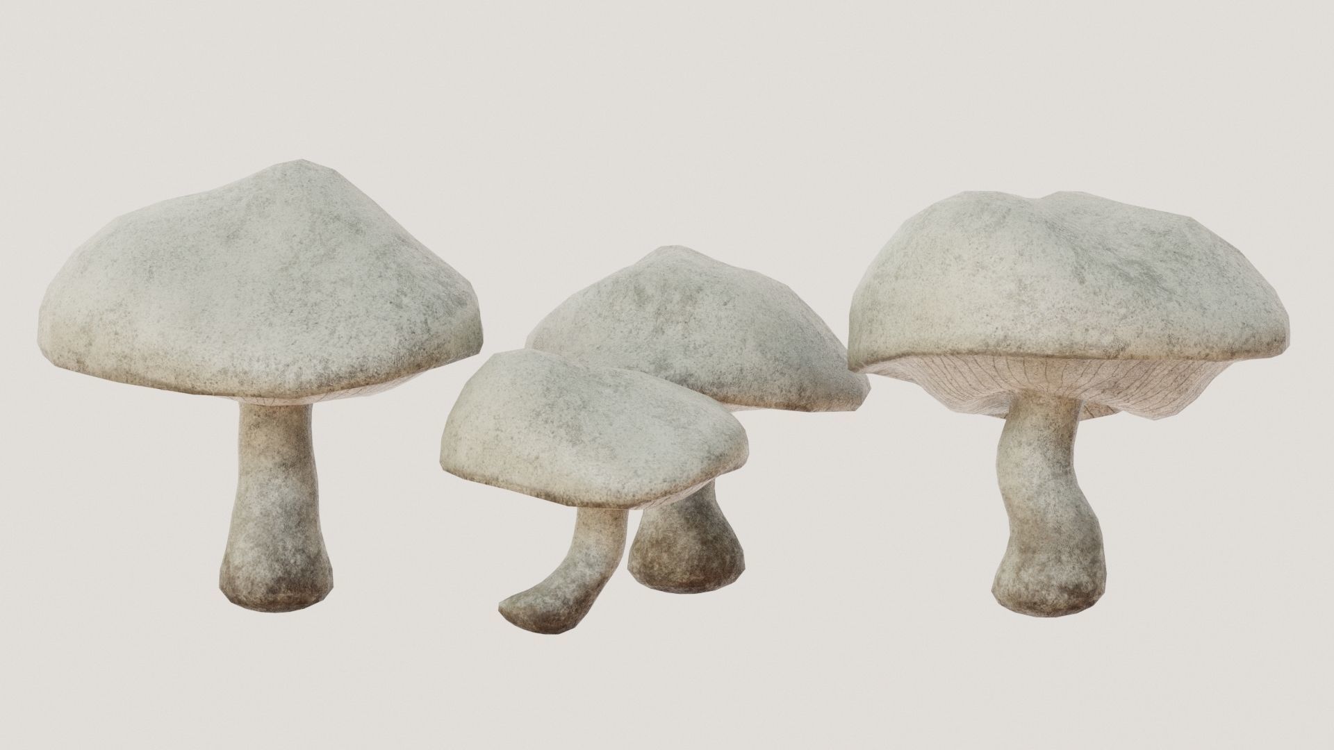 Mushrooms wooden mushroom Low-poly 3D model_3