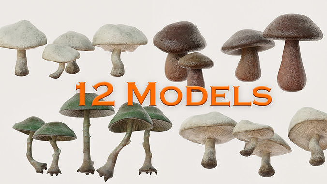 Mushrooms wooden mushroom Low-poly 3D model