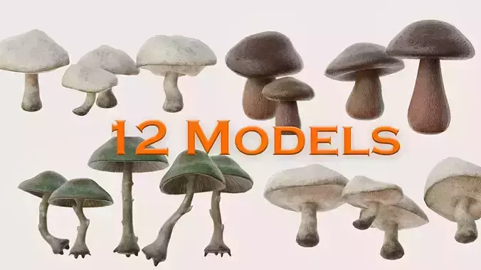 Mushrooms wooden mushroom Low-poly 3D model