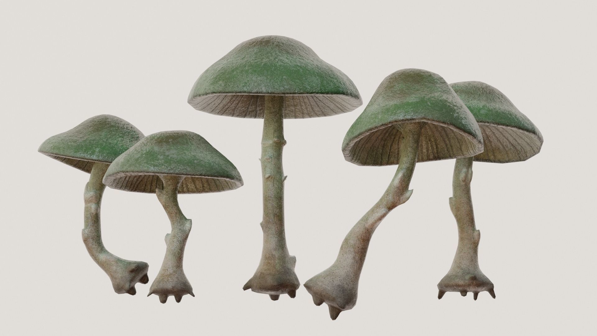 Mushrooms wooden mushroom Low-poly 3D model_5