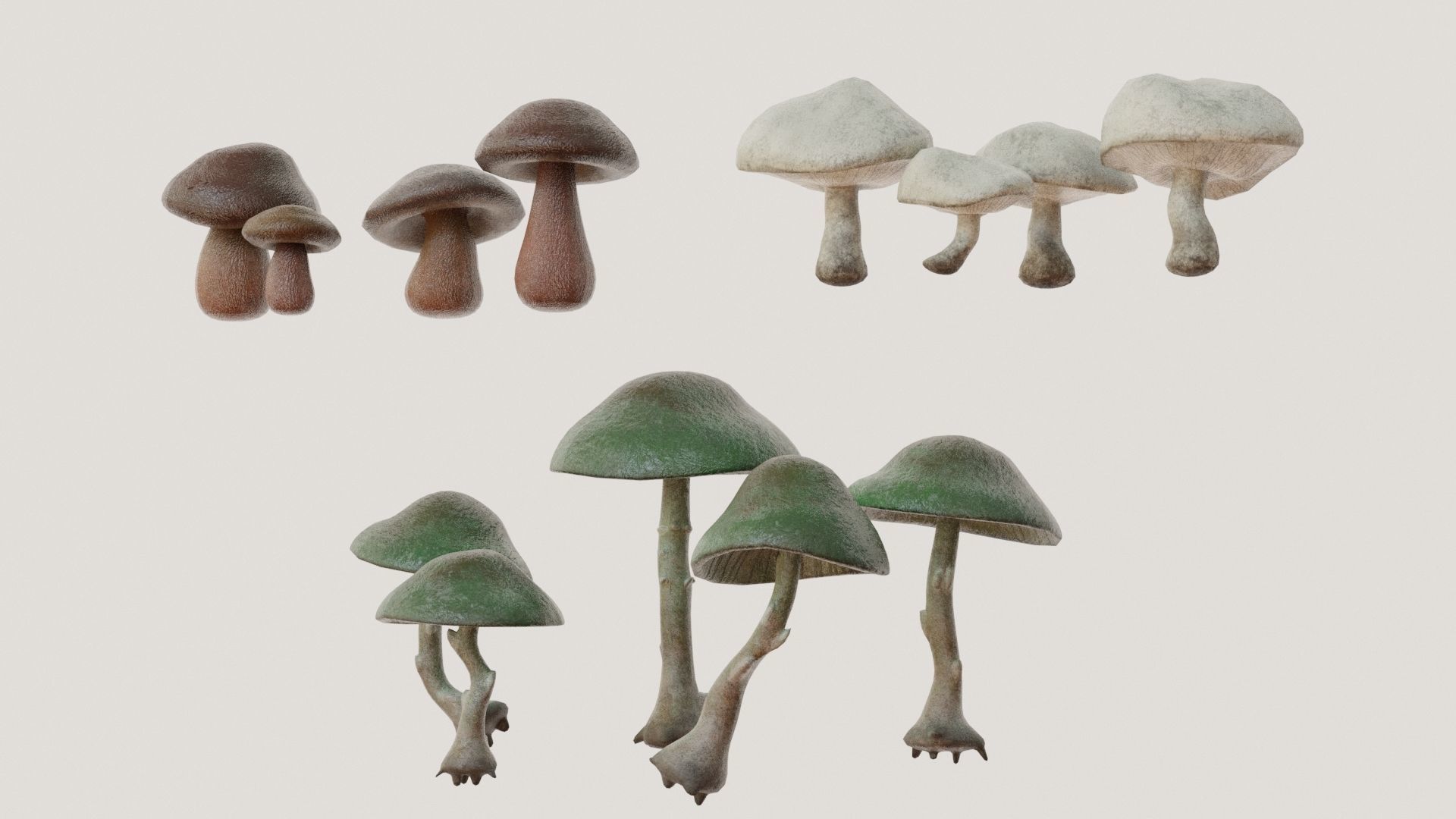 Mushrooms wooden mushroom Low-poly 3D model_1
