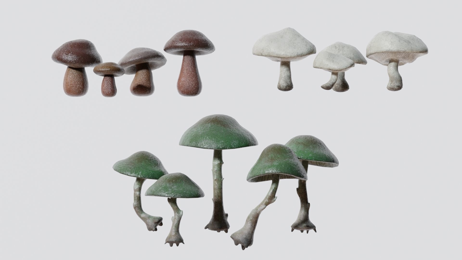Mushrooms wooden mushroom Low-poly 3D model_6