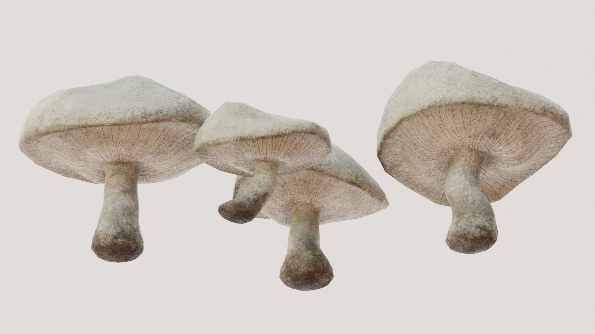 Mushrooms wooden mushroom Low-poly 3D model_4