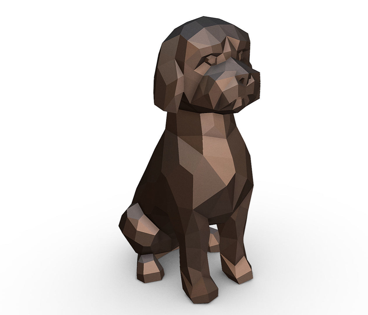 Lagotto Romagnolo 3D print model_5