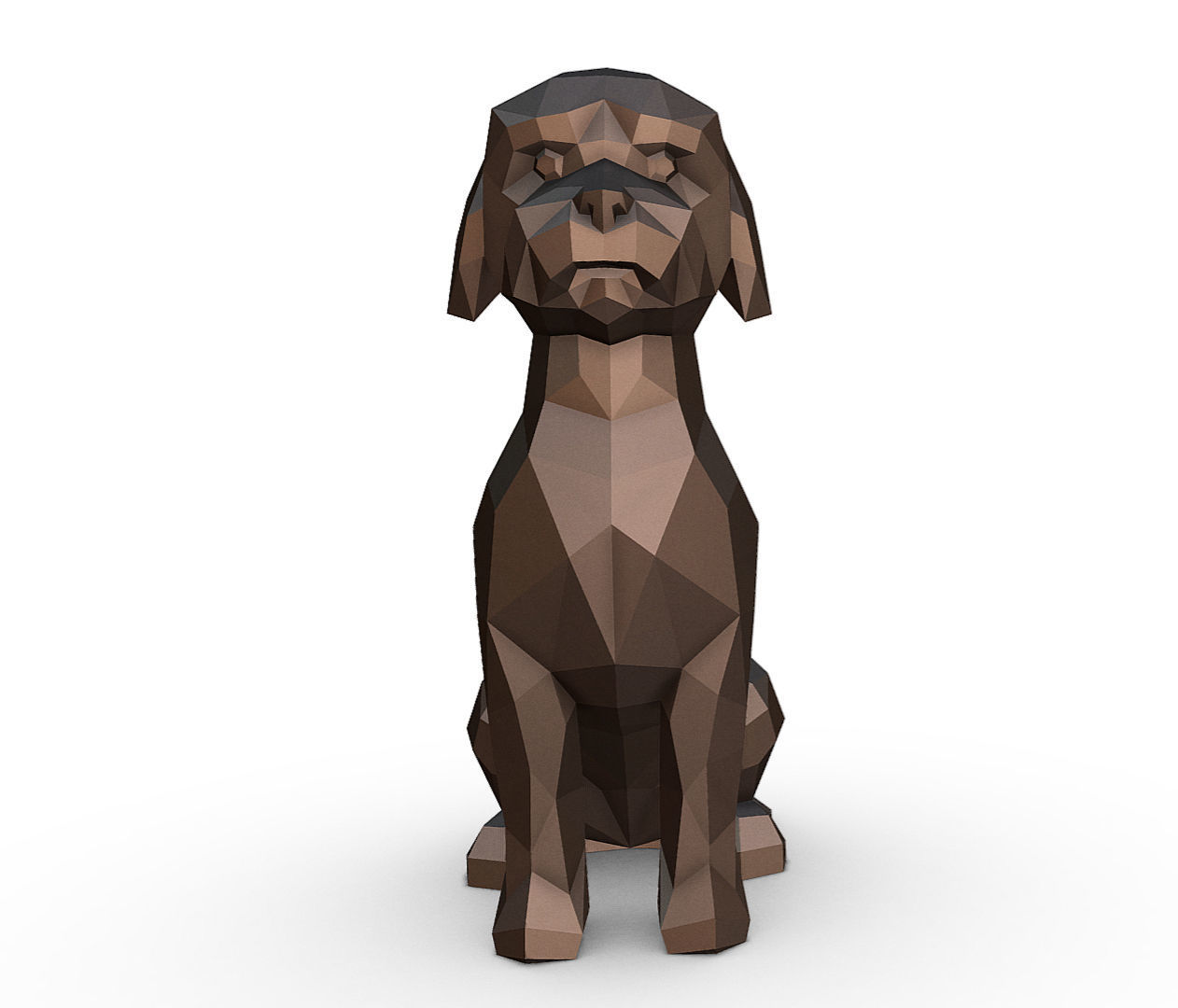 Lagotto Romagnolo 3D print model_6