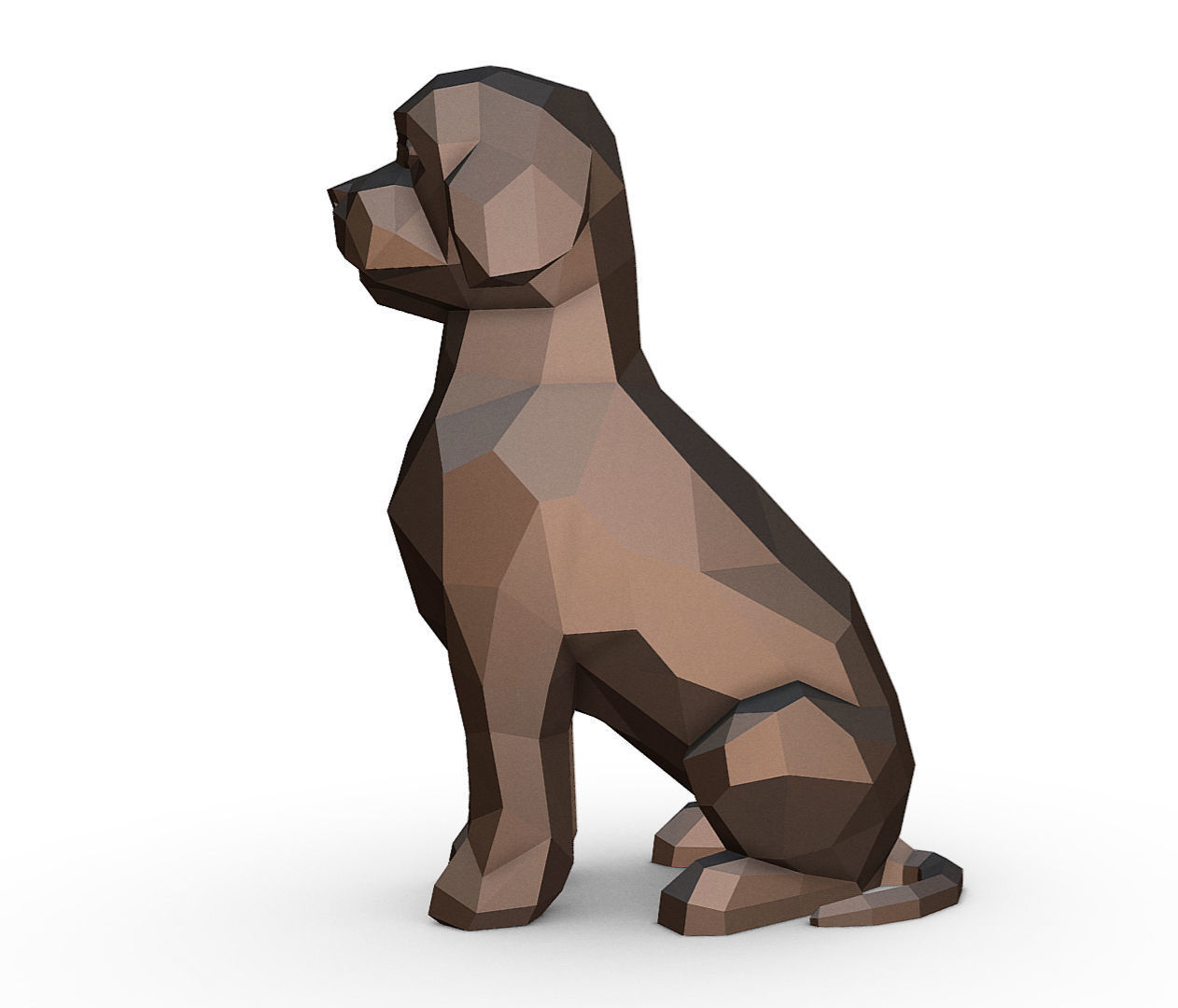 Lagotto Romagnolo 3D print model_1