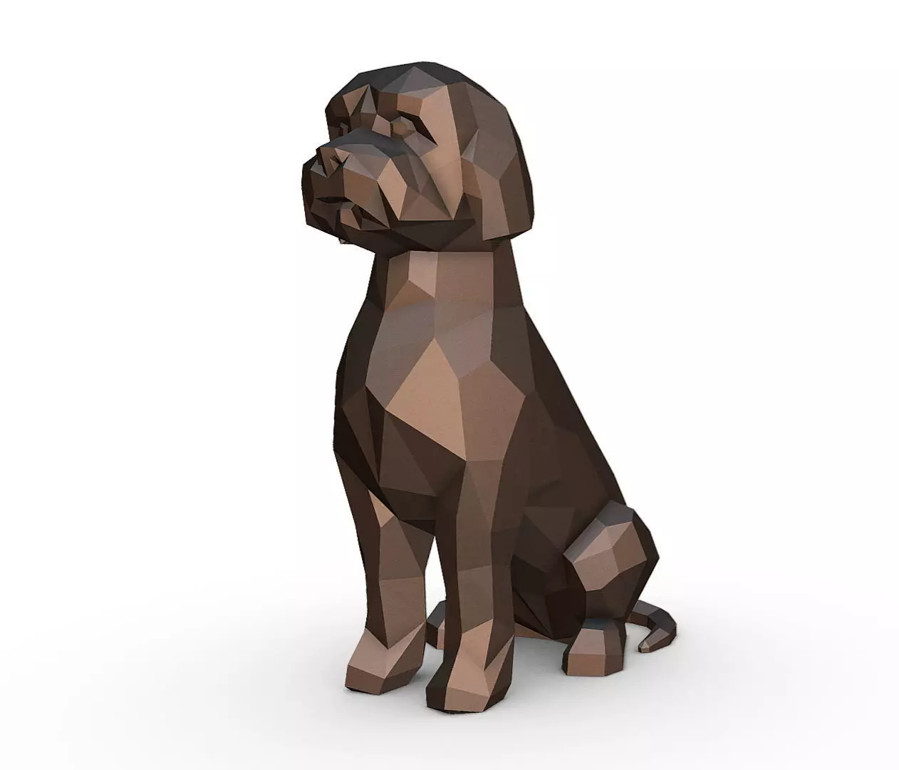 Lagotto Romagnolo 3D print model_0