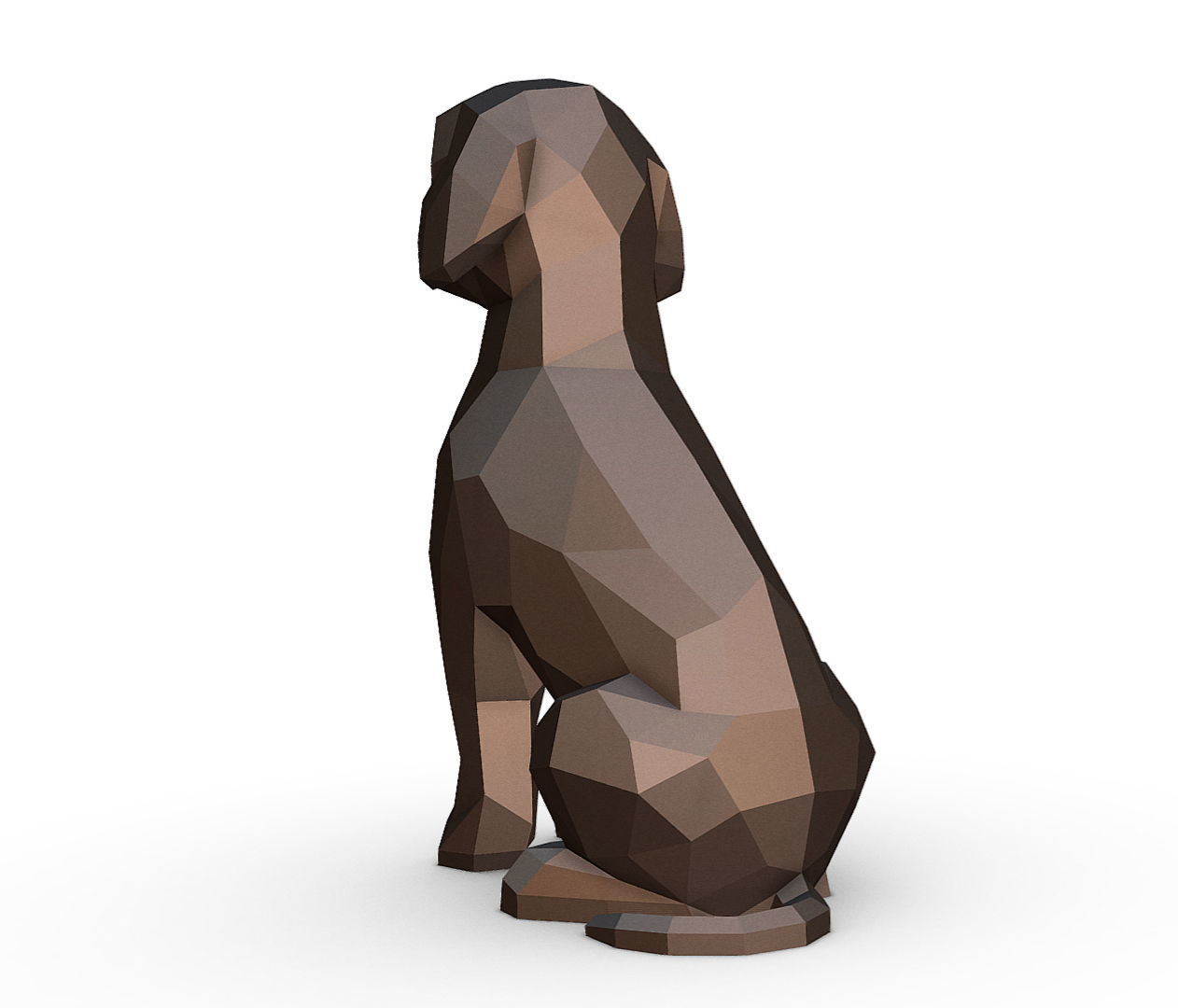 Lagotto Romagnolo 3D print model_2