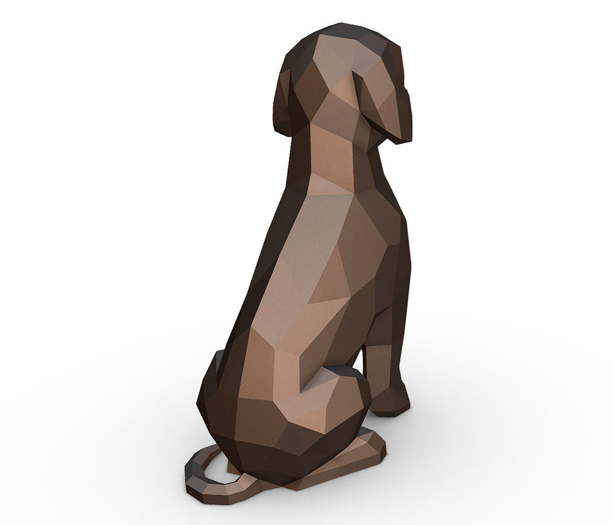 Lagotto Romagnolo 3D print model_3
