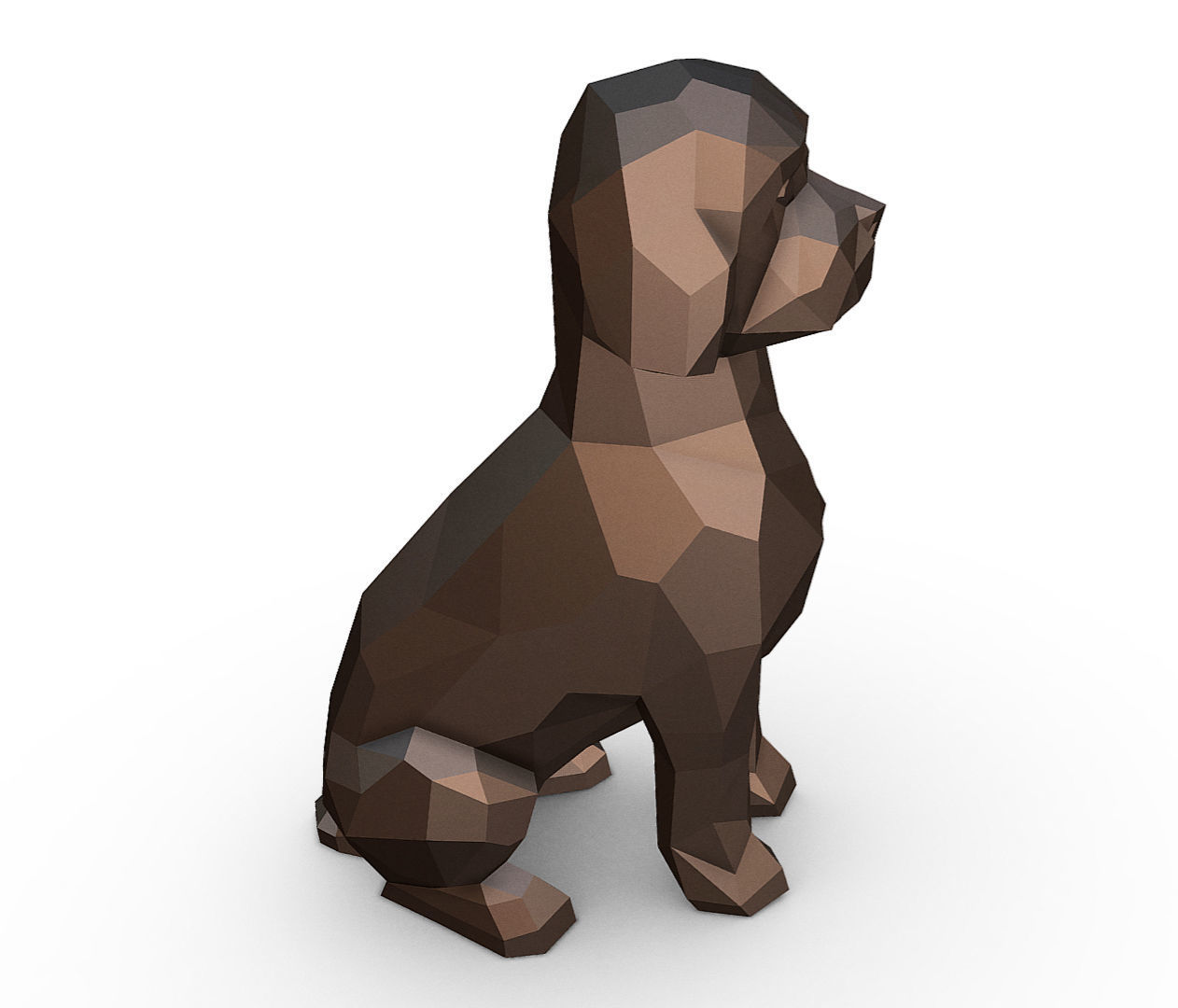 Lagotto Romagnolo 3D print model_4