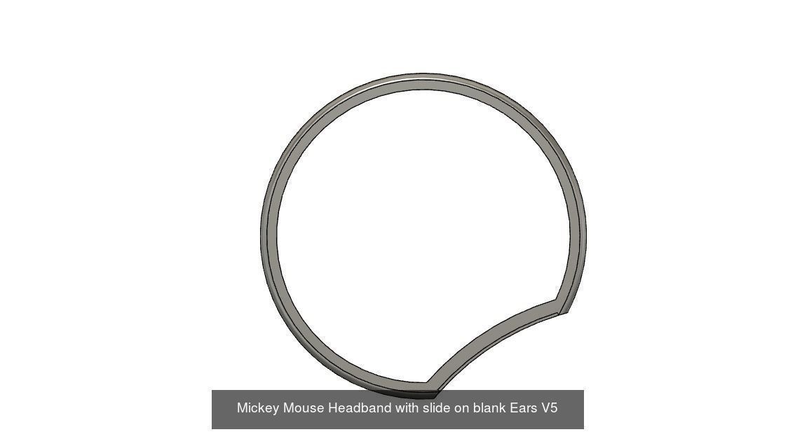 Everything 2021 - All Slide in Mickey Mouse Ears and more 3D Model Collection_44