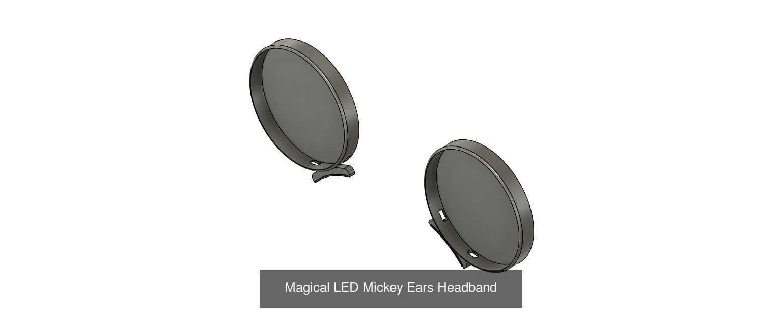 Everything 2021 - All Slide in Mickey Mouse Ears and more 3D Model Collection_71