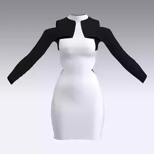 DRESS BLACK AND WHITE MODERN LOOK