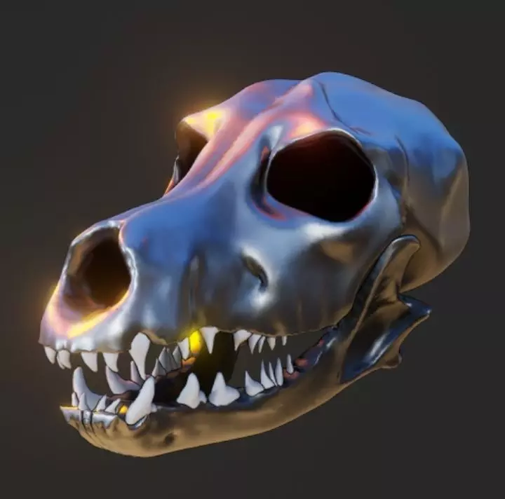 Skull wolf Free 3D model_0