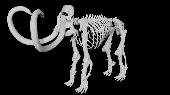 Mammoth skeleton