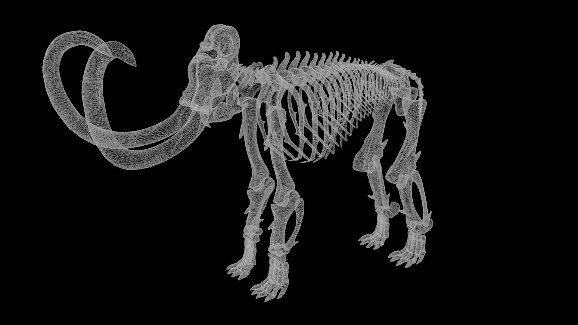 Mammoth skeleton Low-poly 3D model_8