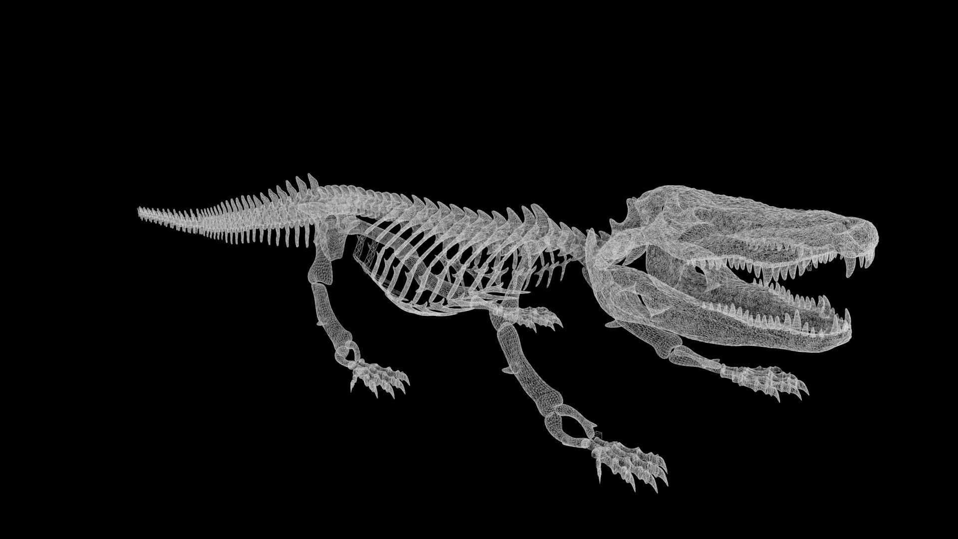 Crocodile Skeleton Low-poly 3D model_8