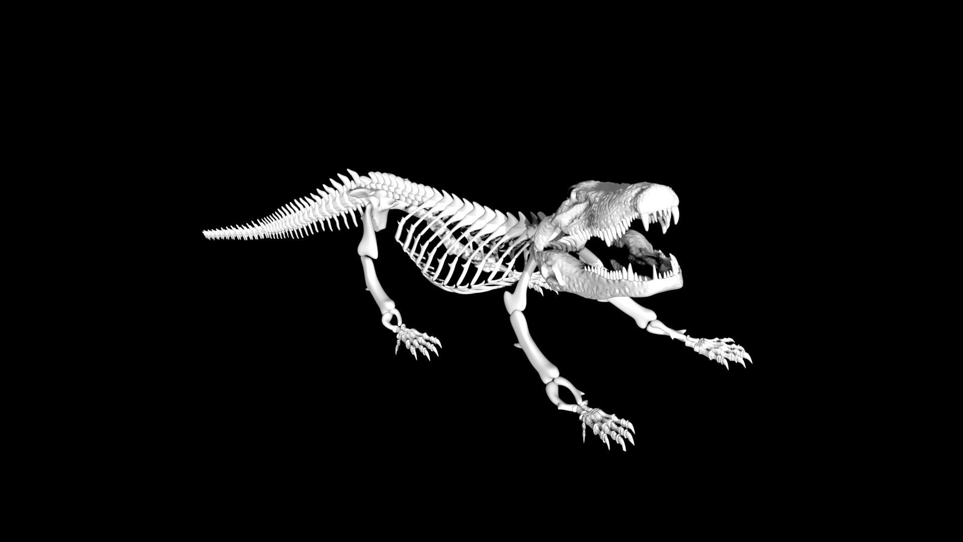 Crocodile Skeleton Low-poly 3D model_4