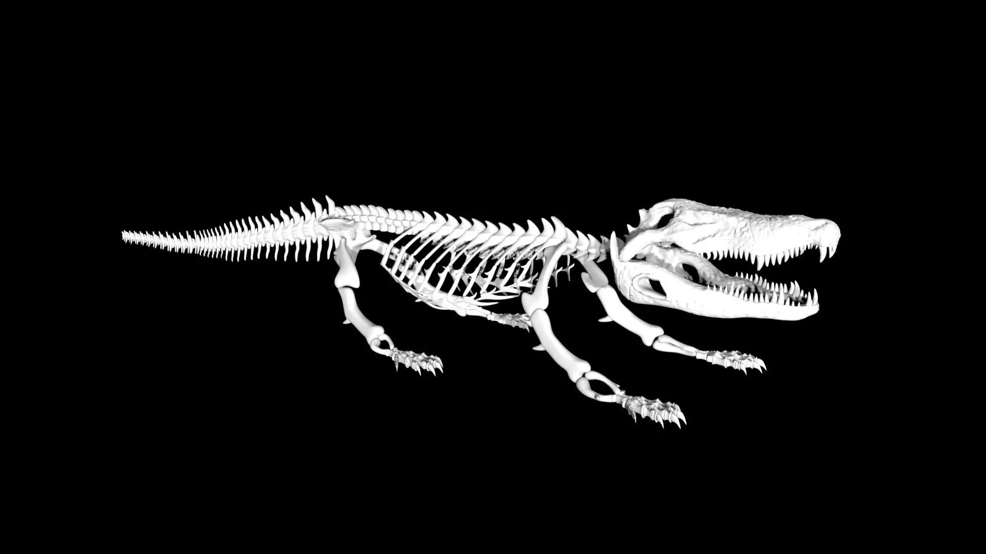 Crocodile Skeleton Low-poly 3D model_0