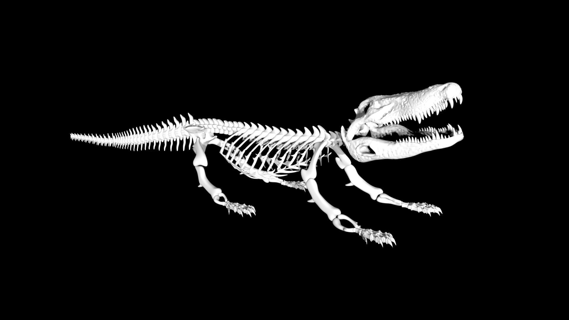 Crocodile Skeleton Low-poly 3D model_1