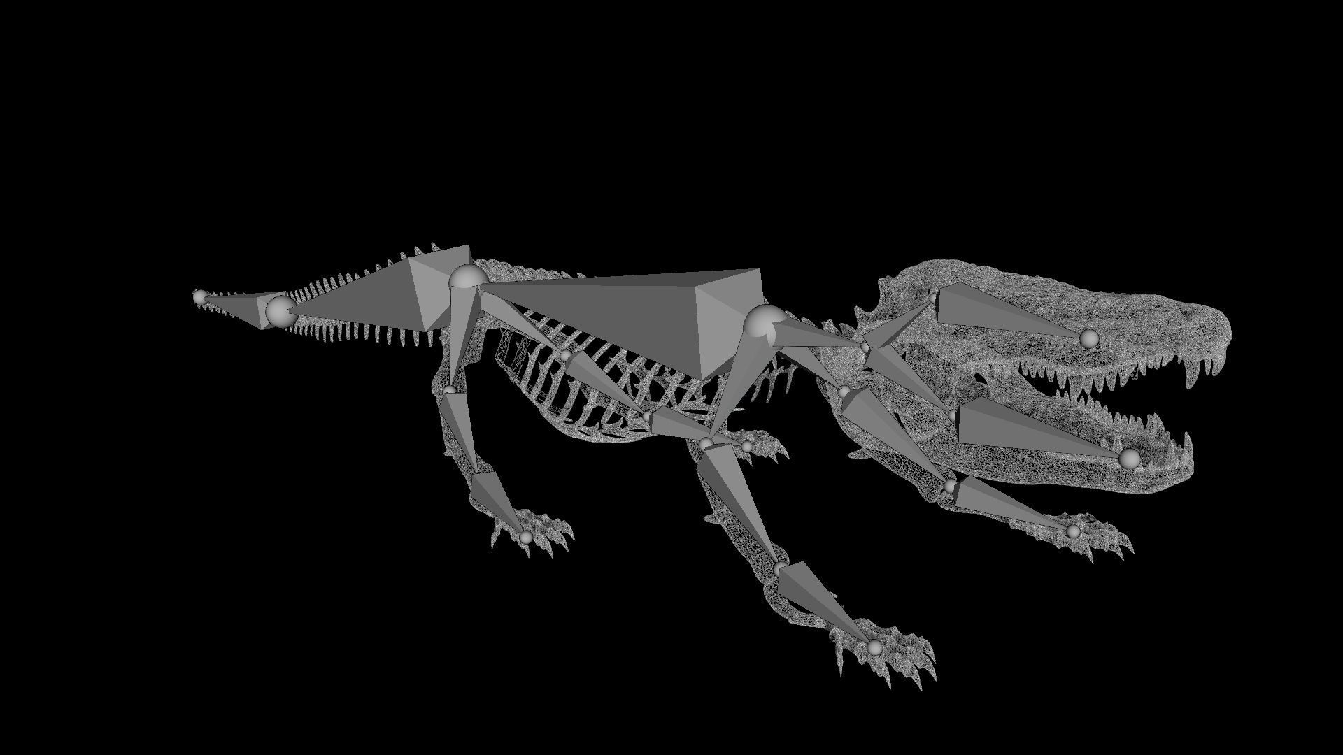 Crocodile Skeleton Low-poly 3D model_7