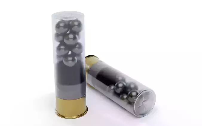12 ga Buckshot