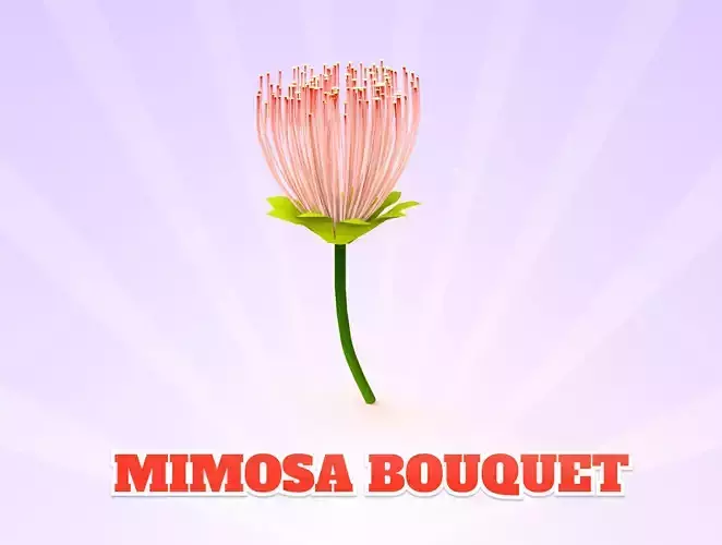 Mimosa Bouquet