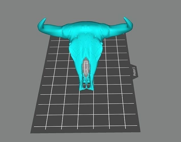 Bull Skull 3D print model