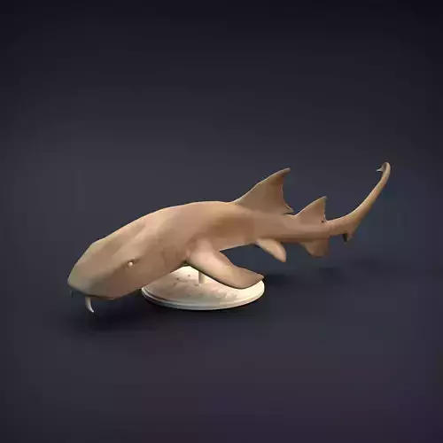 Nurse Shark for 3D printing