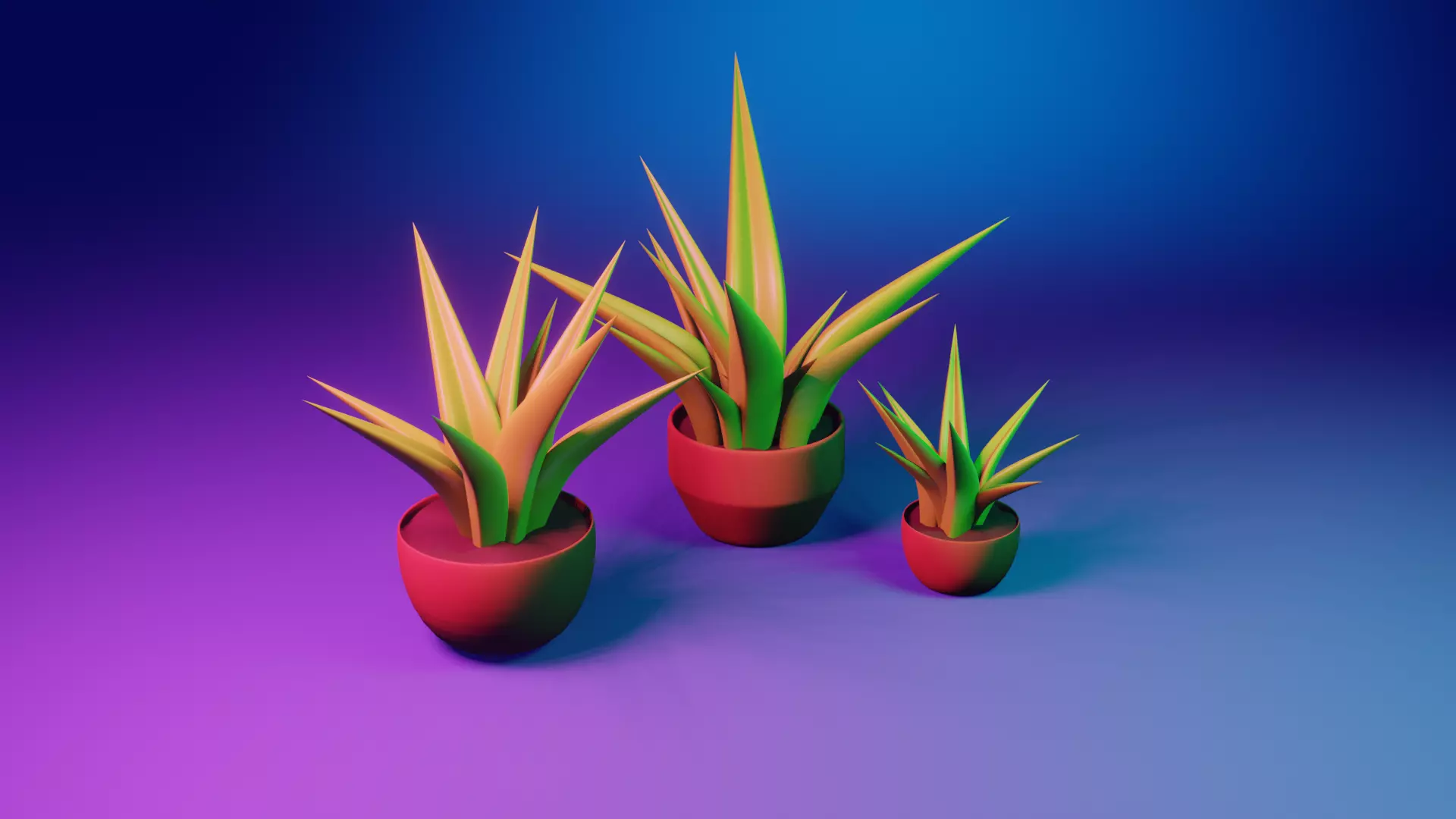 aloe v gorshke Low-poly 3D model_0