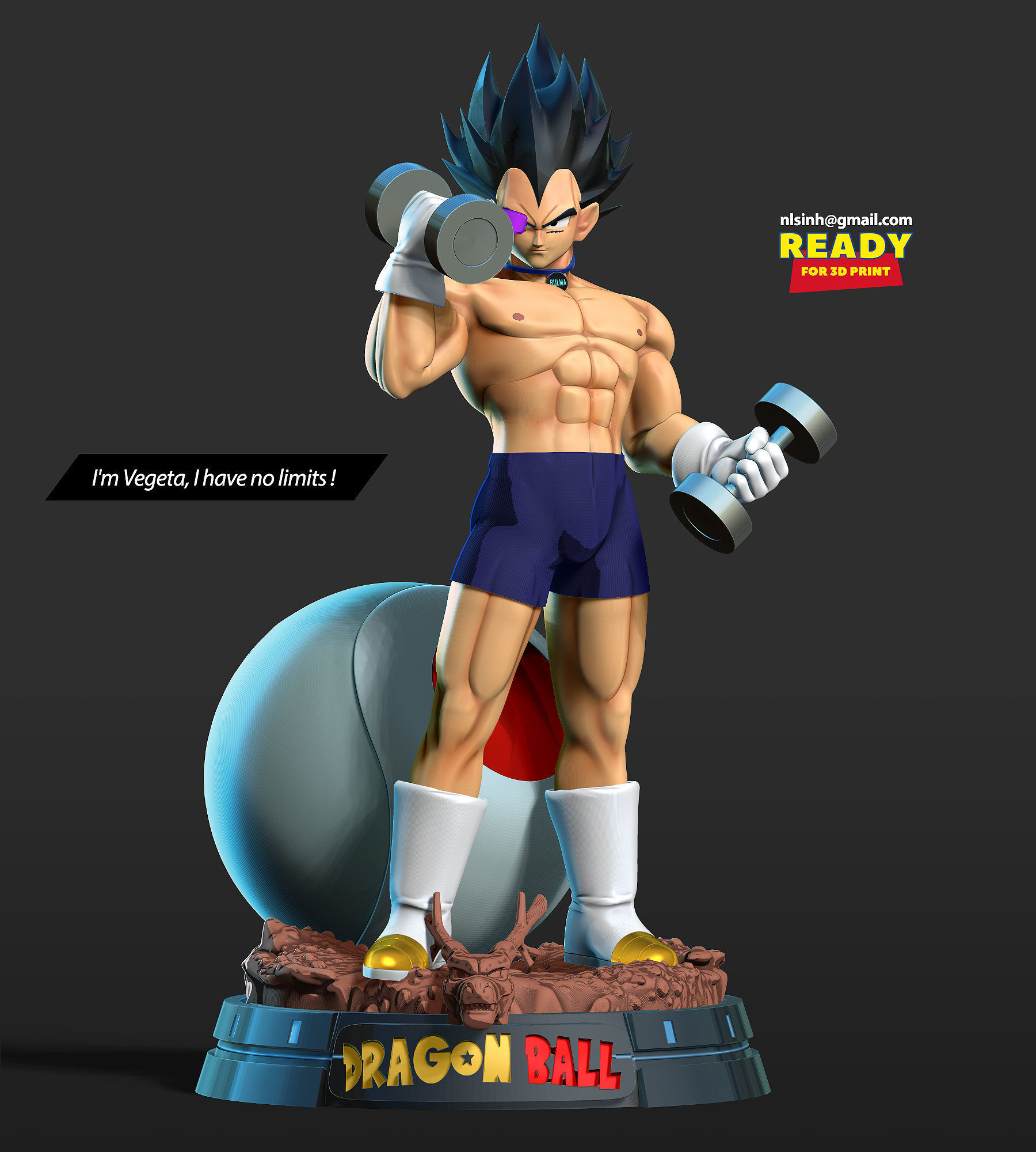 Vegeta with gym 3D print model_6