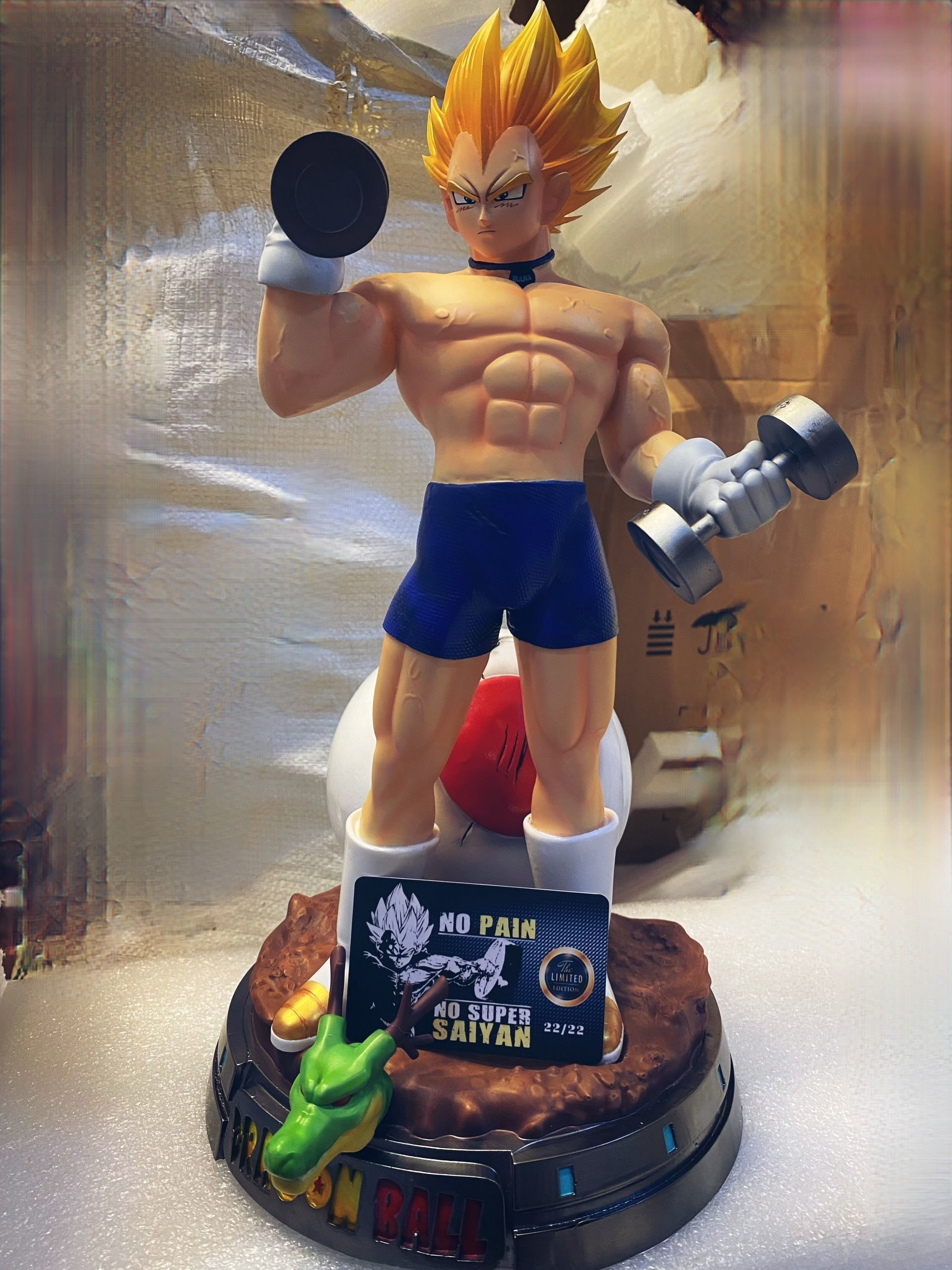 Vegeta with gym 3D print model_17
