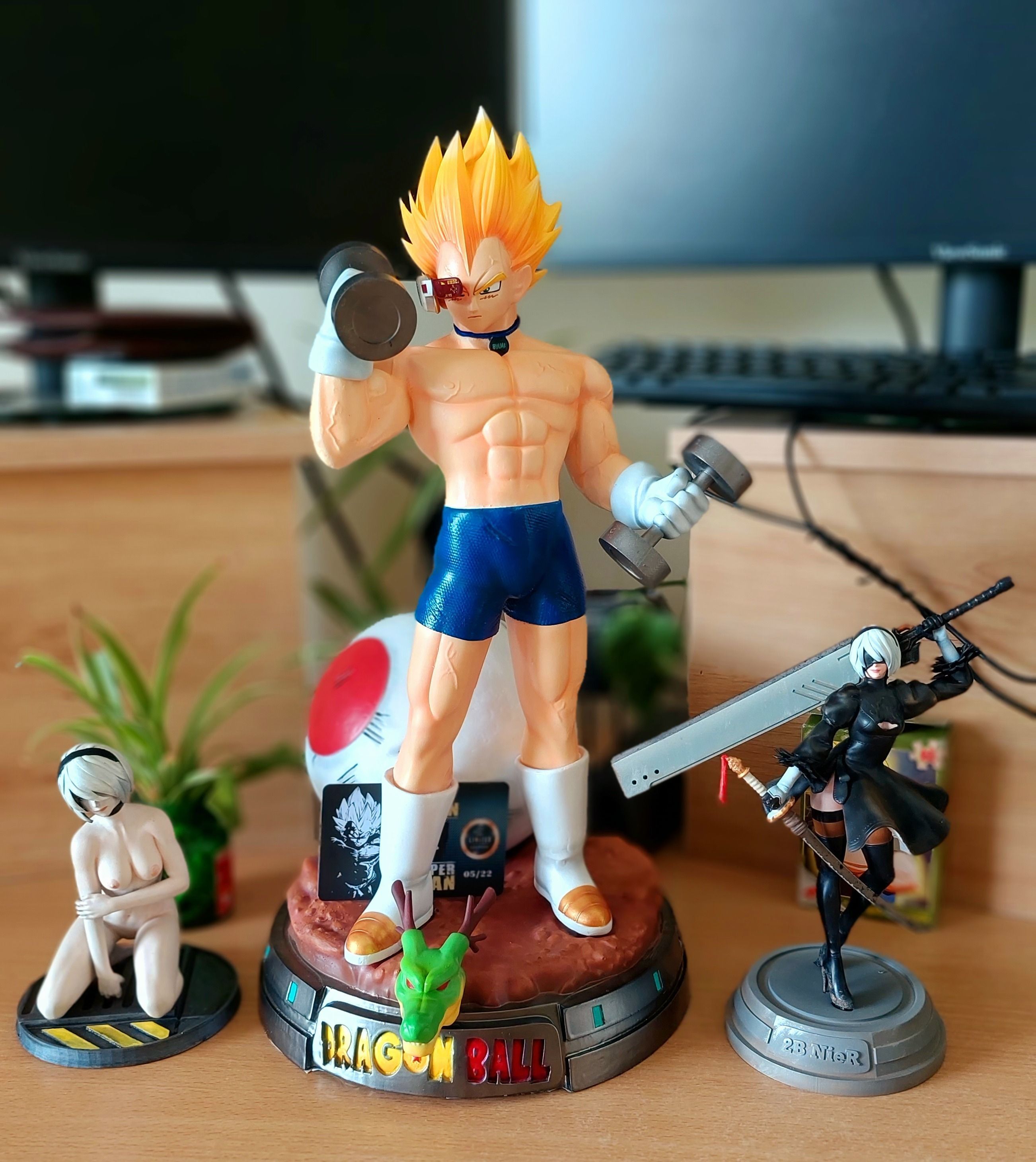 Vegeta with gym 3D print model_5