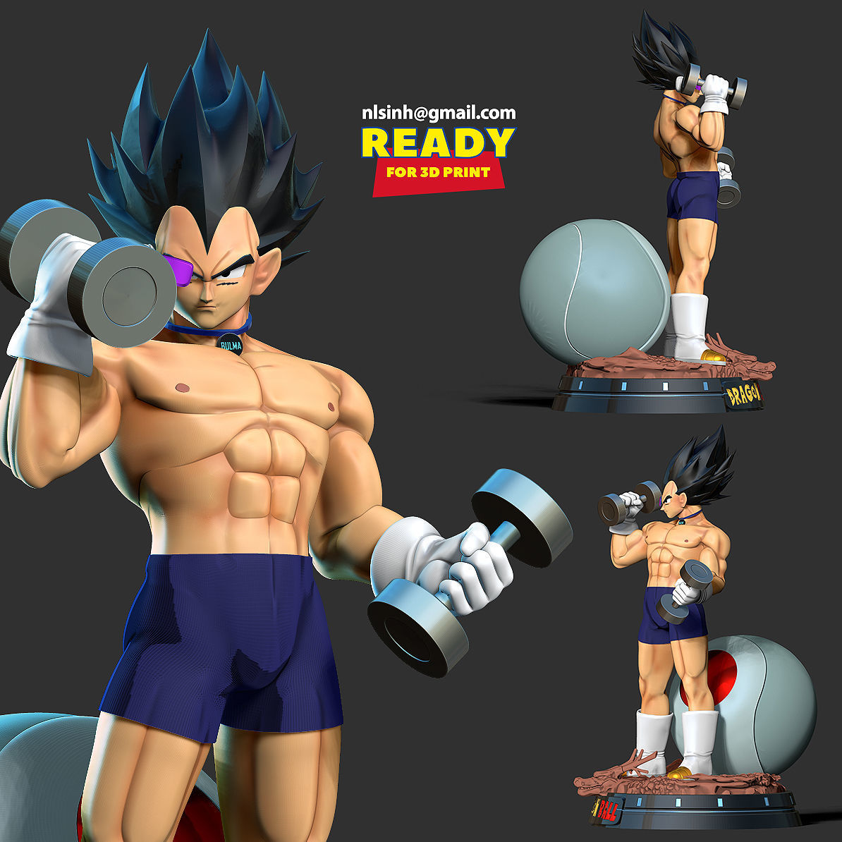 Vegeta with gym 3D print model_1