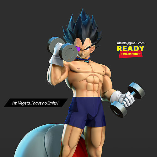 Vegeta with gym 3D print model