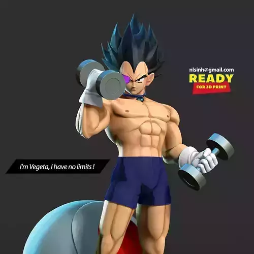Vegeta with gym 3D print model Vegeta with gym 3D print model