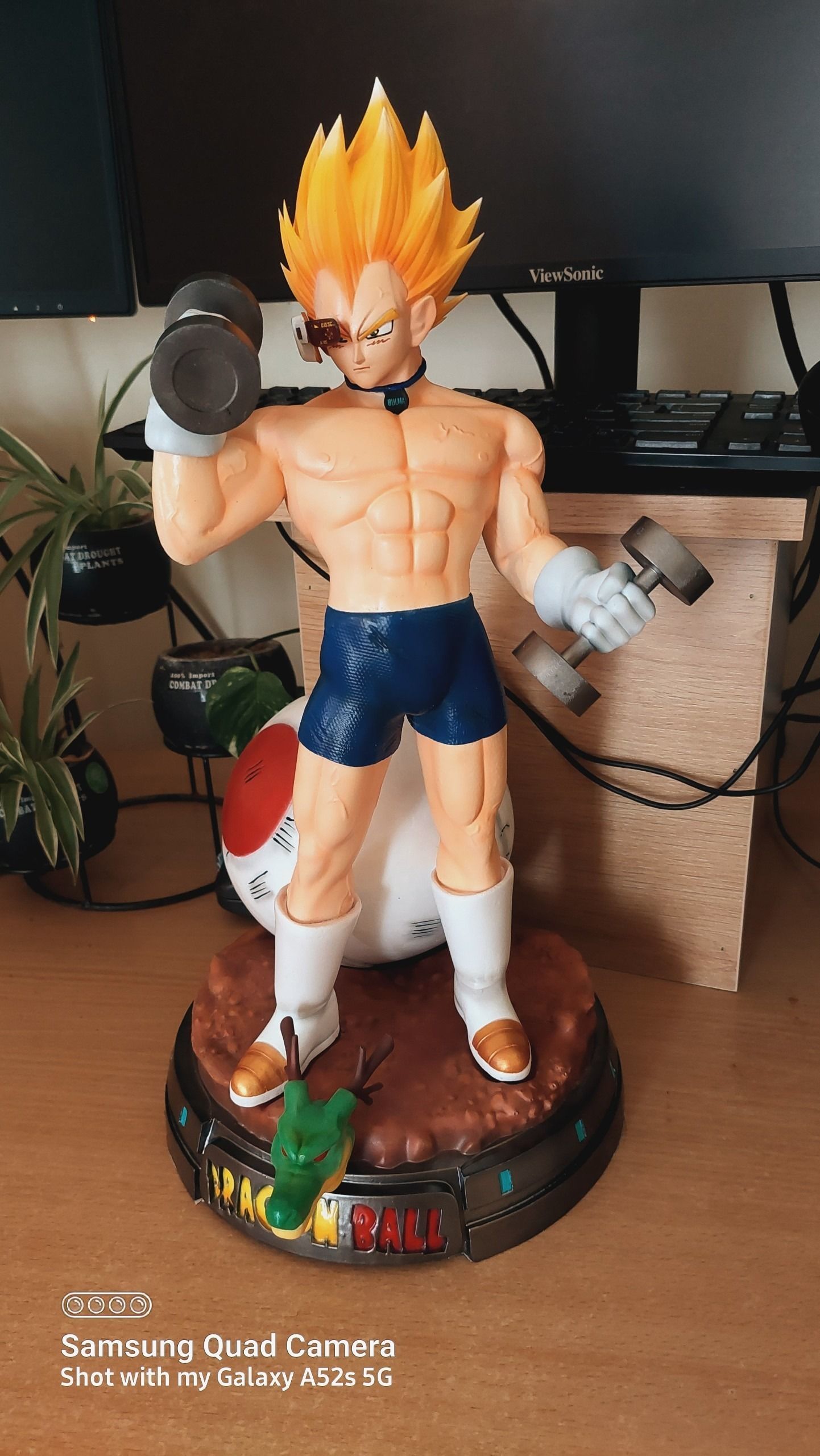 Vegeta with gym 3D print model_3