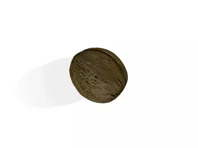 nut model walnut